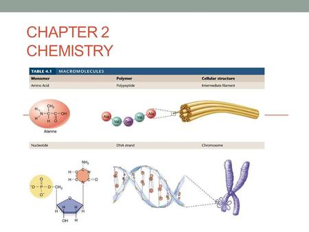 CHAPTER 2 CHEMISTRY. Chemistry (Chapter 2) is about… the different types of macromolecules (big molecules) in all living things. Carbohydrates LipidsProteins.