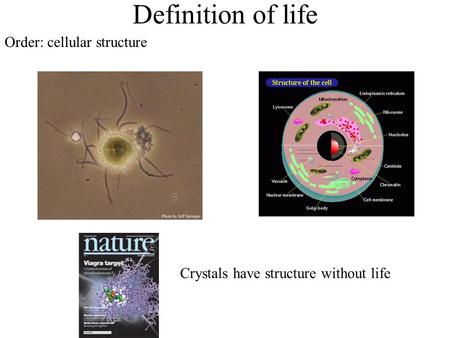 Definition of life Order: cellular structure Crystals have structure without life.