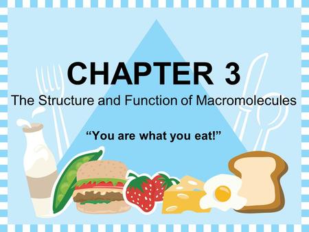 CHAPTER 3 The Structure and Function of Macromolecules