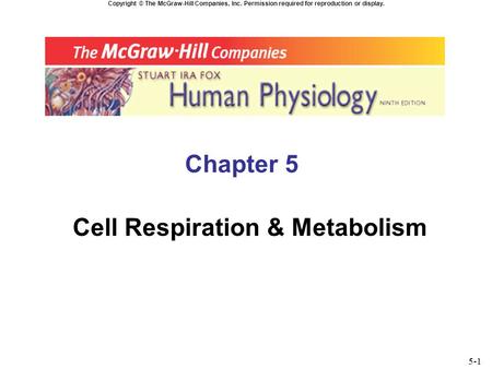 Copyright © The McGraw-Hill Companies, Inc. Permission required for reproduction or display. Chapter 5 Cell Respiration & Metabolism 5-1.