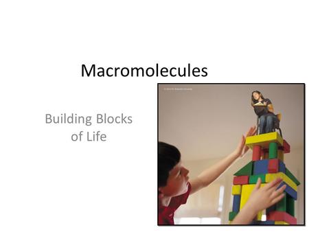 Macromolecules Building Blocks of Life Macromolecules Smaller organic molecules join together to form larger molecules – macromolecules 4 major classes.