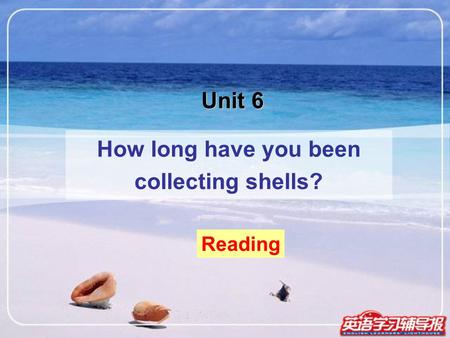 Unit 6 How long have you been collecting shells? Reading.