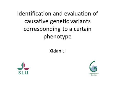 Identification and evaluation of causative genetic variants corresponding to a certain phenotype Xidan Li.
