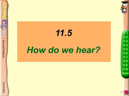 11.5 How do we hear? Put two fingers gently on your throat while you speak. What do you feel?