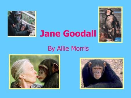 Jane Goodall By Allie Morris. Its A Girl! - Born April 3, 1934, in London England to Montimer Herbert Goodall and Margaret Myfanwe Joseph. - Loved Dr.