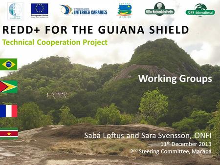 REDD+ FOR THE GUIANA SHIELD Technical Cooperation Project Working Groups Sabá Loftus and Sara Svensson, ONFI 11 th December 2013 2 nd Steering Committee,