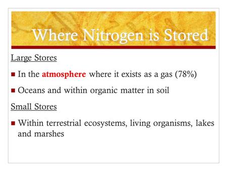 Where Nitrogen is Stored Large Stores In the atmosphere where it exists as a gas (78%) Oceans and within organic matter in soil Small Stores Within terrestrial.