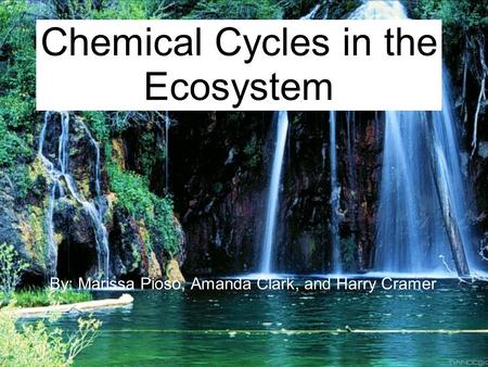 Chemical Cycles in the Ecosystem By: Marissa Pioso, Amanda Clark, and Harry Cramer.