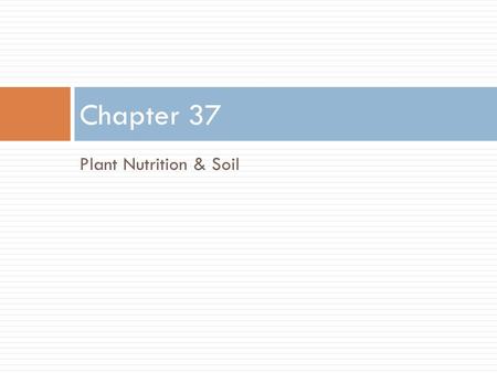 Plant Nutrition & Soil Chapter 37. Macronutrients & Micronutrients  Essential nutrients – Nutrients that must be consumed, plants cannot make these nutrients.