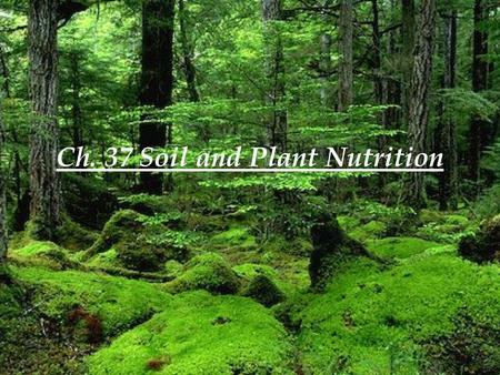 Ch. 37 Soil and Plant Nutrition. 37.1 Soil contains a living, complex ecosystem Soil particles of various sizes derived from the breakdown of rock are.