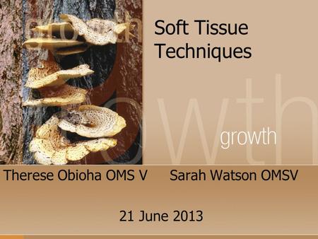 Soft Tissue Techniques Therese Obioha OMS V Sarah Watson OMSV 21 June 2013.