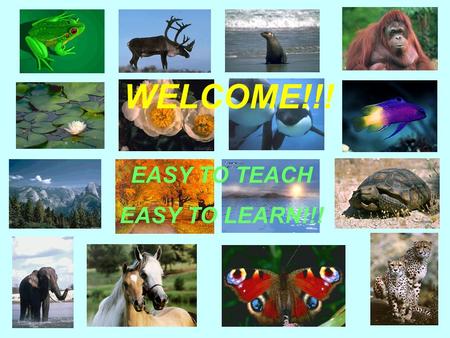 WELCOME!!! EASY TO TEACH EASY TO LEARN!!!. OUR ENVIRONMENT.