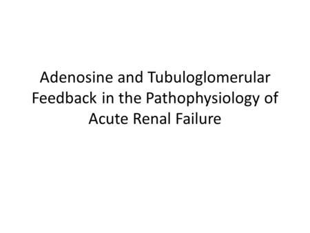 Adenosine and Tubuloglomerular Feedback in the Pathophysiology of Acute Renal Failure.