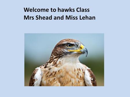Welcome to hawks Class Mrs Shead and Miss Lehan. Homework Reading is very important. Children have a home reading record. They are expected to read every.
