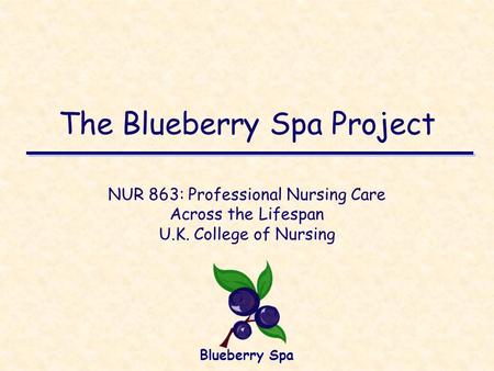 The Blueberry Spa Project NUR 863: Professional Nursing Care Across the Lifespan U.K. College of Nursing Blueberry Spa.
