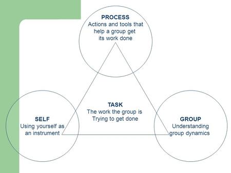TASK The work the group is Trying to get done PROCESS Actions and tools that help a group get its work done SELF Using yourself as an instrument GROUP.