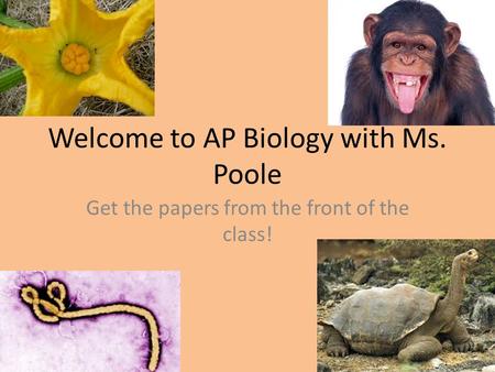 Welcome to AP Biology with Ms. Poole Get the papers from the front of the class!