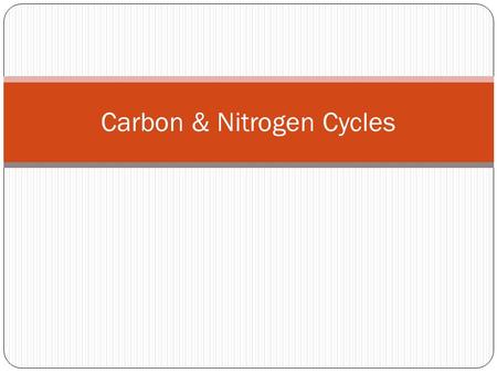 Carbon & Nitrogen Cycles. Recycling Matter All things living are made of matter Total amount of matter on Earth is limited, so it must be recycled again.