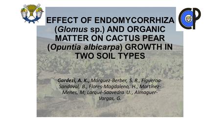 EFFECT OF ENDOMYCORRHIZA (Glomus sp.) AND ORGANIC MATTER ON CACTUS PEAR (Opuntia albicarpa) GROWTH IN TWO SOIL TYPES Gardezi, A. K., Márquez-Berber, S.