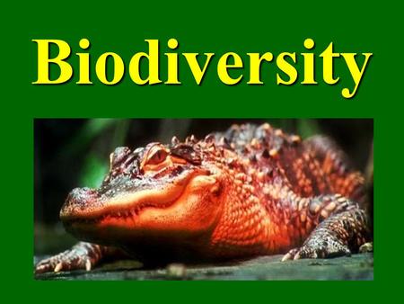 Biodiversity. What is Biodiversity? Biological Diversity or Biodiversity “The variety of life in all its forms, levels and combinations. Includes ecosystem.