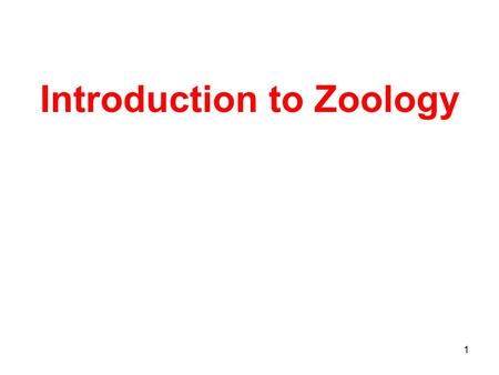 1 Introduction to Zoology. 2 Zoology Scientific study of the diversity of animal life.