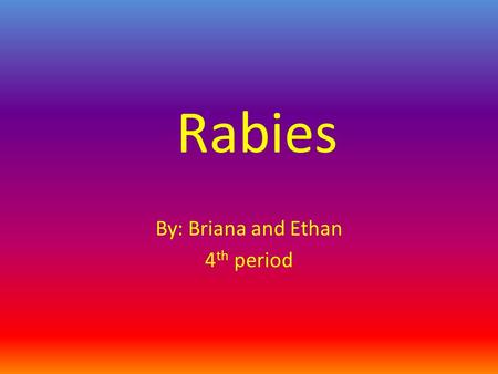 Rabies By: Briana and Ethan 4 th period. DID YOU KNOW?!?!? There has never been a documented case of a human to human case of rabies transmission. Human.