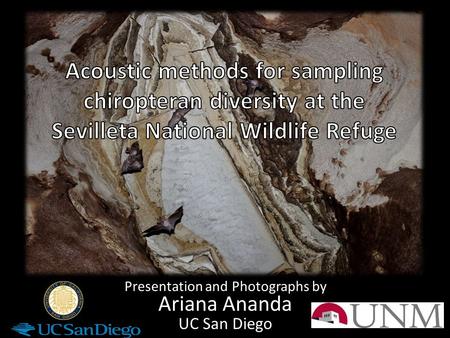 Presentation and Photographs by Ariana Ananda UC San Diego.