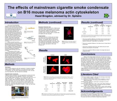 The effects of mainstream cigarette smoke condensate on B16 mouse melanoma actin cytoskeleton The effects of mainstream cigarette smoke condensate on B16.