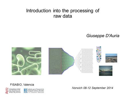 Giuseppe D'Auria Norwich 08-12 September 2014 FISABIO, Valencia Introduction into the processing of raw data.
