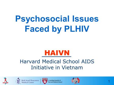 1 Psychosocial Issues Faced by PLHIV HAIVN Harvard Medical School AIDS Initiative in Vietnam.