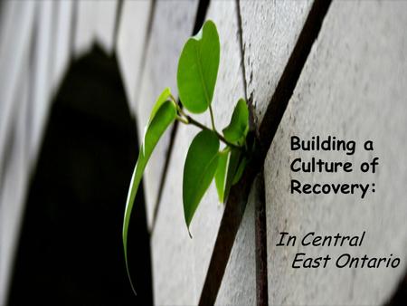 Building a Culture of Recovery: In Central East Ontario.