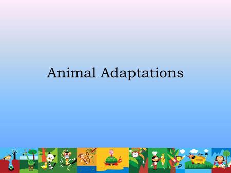 Animal Adaptations.