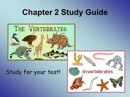 Chapter 2 Study Guide Study for your test!.