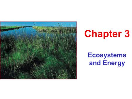 Ecosystems and Energy Chapter 3. “In the end, we will conserve only what we love, we will love only what we understand, we will understand only what we.