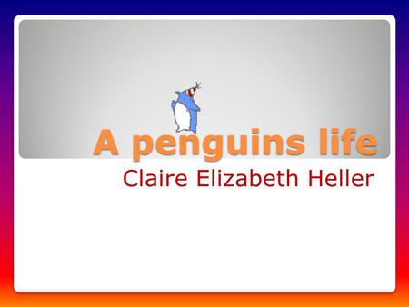 A penguins life Claire Elizabeth Heller. A penguins life cycles A chick hatches then it grows in to a penguin. A penguin lays eggs. All living things.