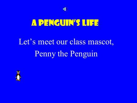 A Penguin’s Life Let’s meet our class mascot, Penny the Penguin.