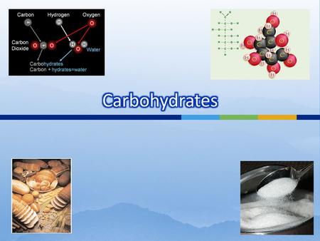  All organisms are made of four types of carbon-based molecules: 1. Carbohydrates 2. Lipids 3. Proteins 4. Nucleic Acids  The molecules have different.