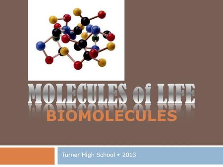 BIOMOLECULES Turner High School  2013. Atoms (Elements) Needed for Life to Survive  C – carbon  H – hydrogen  N – nitrogen  O – oxygen  P – phosphorus.