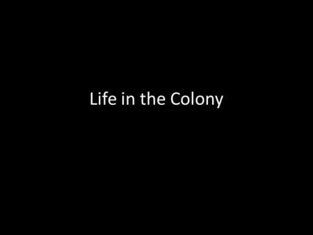 Life in the Colony. Revision Why did England want to establish a penal colony in Australia? Why was crime such a problem in England at the time? What.