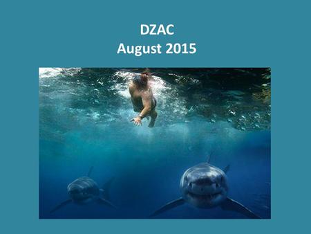 DZAC August 2015. Do you Swim With the Sharks? Are you Running with the Bulls?