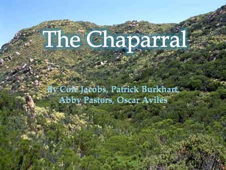  The Chaparral is located along the Western part of the United States, Western South America, South Africa, Western Australia, and Western Europe. There.