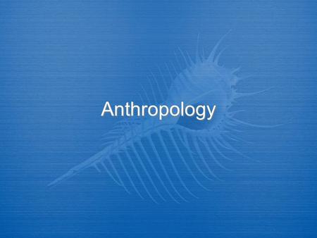 Anthropology. What is Anthropology?  Anthropology is the board study of humankind around the world and throughout time.  It is concerned with both the.