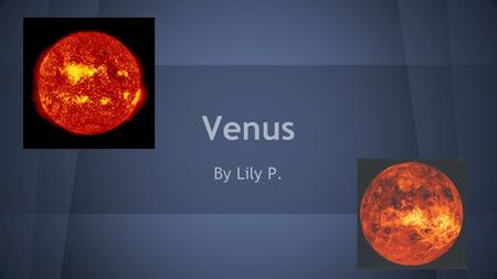 Venus By Lily P.. Introduction Oh! I didn’t see you there! Welcome, welcome! This slide show is about the wonderful and amazing planet, Venus! Today you.