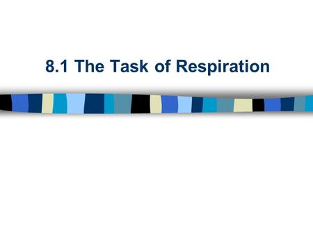 8.1 The Task of Respiration