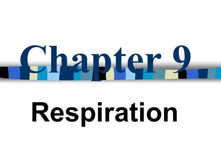 Chapter 9 Respiration Respiration The transfer of stored energy in food molecules to a form usable by the organism Involves the exchange of gases between.