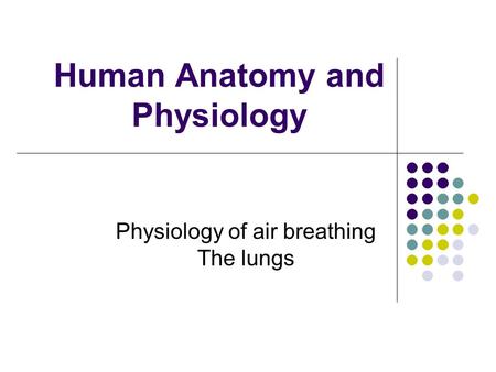 Human Anatomy and Physiology Physiology of air breathing The lungs.