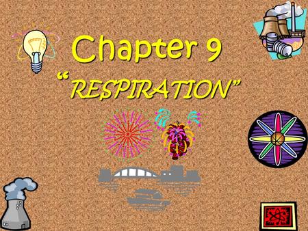 Chapter 9 “ RESPIRATION” What is the difference between respiration and breathing ?