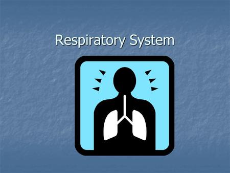 Respiratory System. Respiration External Respiration : exchange of oxygen and carbon dioxide between the air and the cells of the lungs. External Respiration.