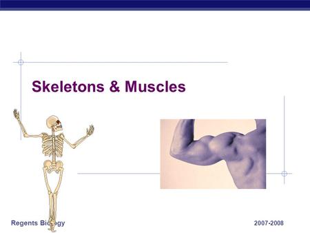 Regents Biology 2007-2008 Skeletons & Muscles Regents Biology Animal Movement What are the advantages of being mobile? 1. Find food 2. escape 3. migrate.