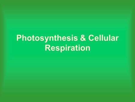 Photosynthesis & Cellular Respiration. What is photosynthesis? It is the most important chemical reaction on our planet.